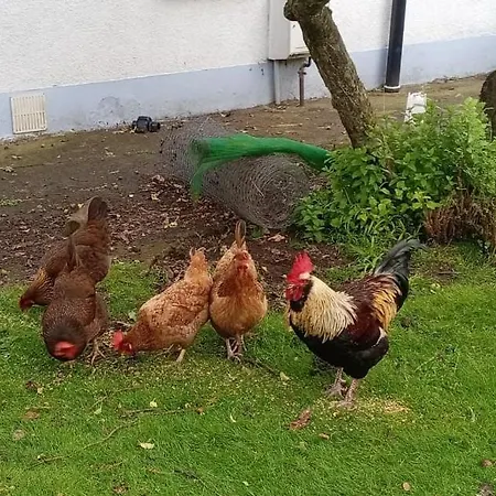 Newby Cross * Carlisle (Cumbria)