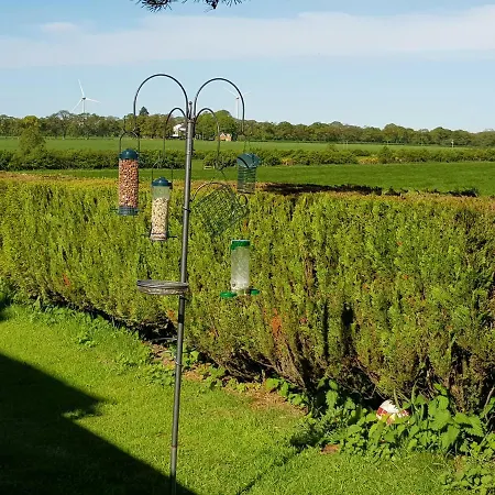 Newby Cross Penzion *