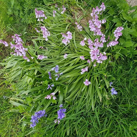 Newby Cross Pensjonat